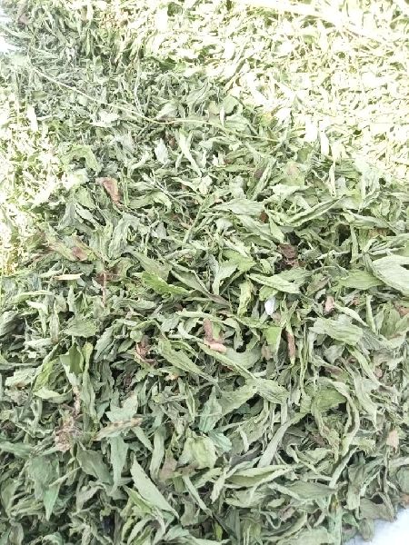RG Green Common Dried Stevia Leaves, for Health, Feature : Exceptional Purity, Good Quality