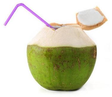 Hard Organic tender coconut, Color : Green