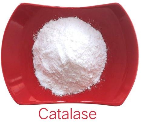Catalase Powder, Color : White