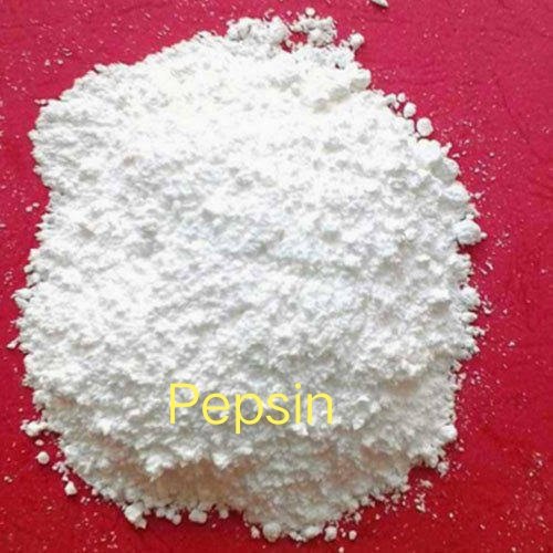 Pepsin Powder, Packaging Type : Drum
