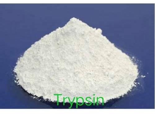 Pharmaceutical Trypsin Enzyme