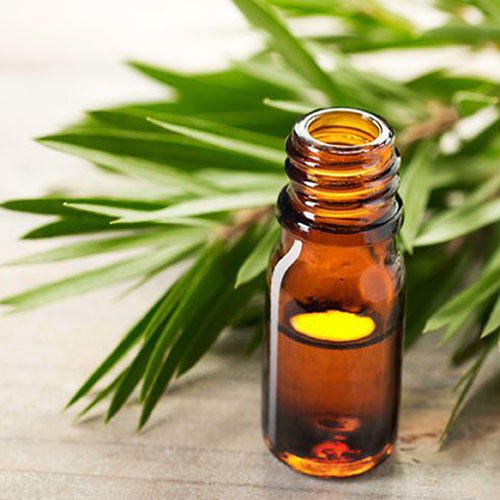 Tea Tree Essential Oil, for Cosmetics, Aromatherapy, Skin care, Form : Liquid