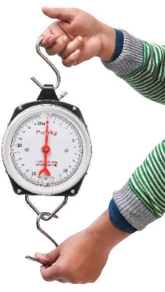 Hanging Scale