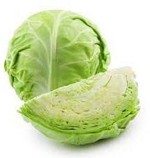 Fresh Cabbage