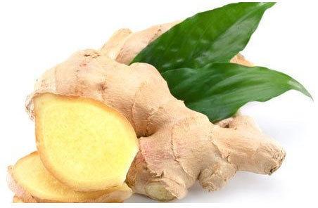 Natural Fresh Ginger, For Cooking, Medicine, Packaging Size : 5-10 Kg