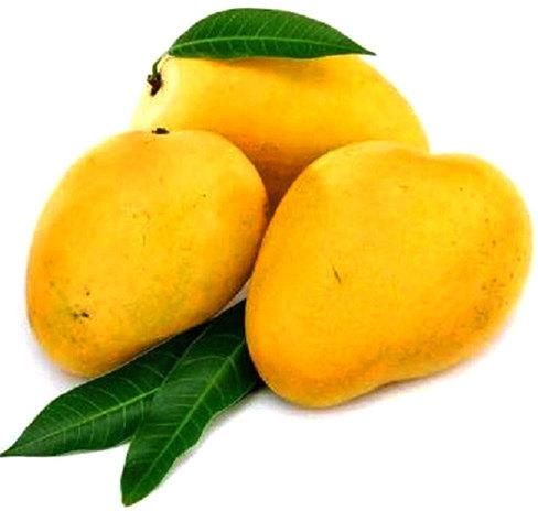 fresh mango