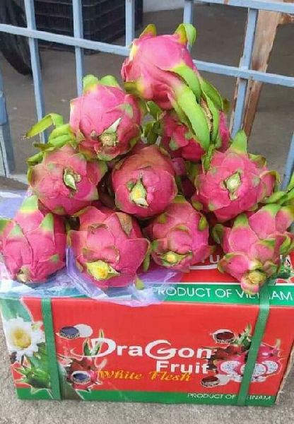 Natural Fresh Dragon Fruits, for Food Medicine, Color : Pink