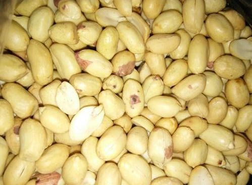 Roasted Plain Peanut, Shelf Life : 1year