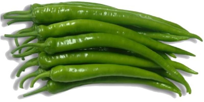 fresh green chilli