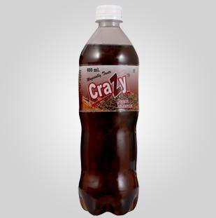 600 ml Jeera Soft Drink, Packaging Type : Bottle