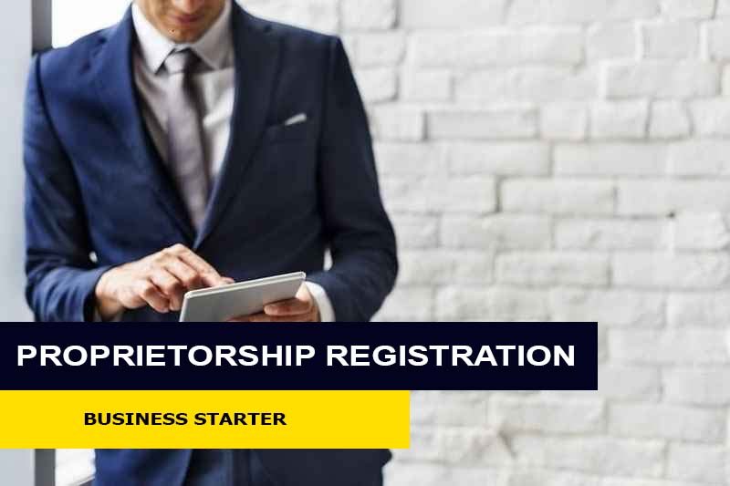 business registration consultants