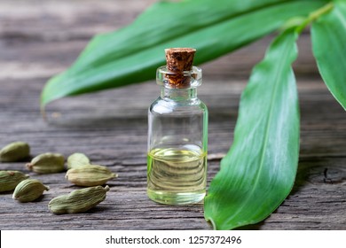 CARDAMOM ESSENTIAL OILS, Packaging Size : IN KGs
