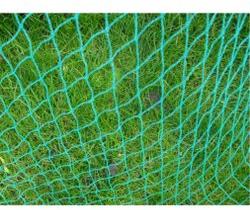  HDPE Anti Bird Net, Color : Green