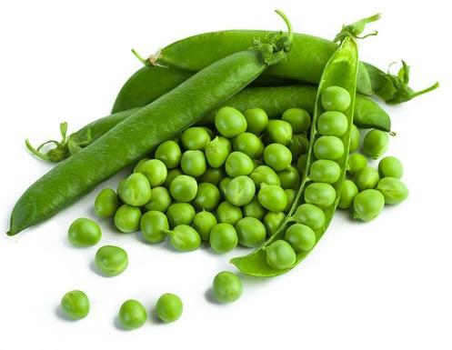 Organic Fresh Green Peas, for Good Nutritions, Good Health, Packaging Type : Plastic Packet