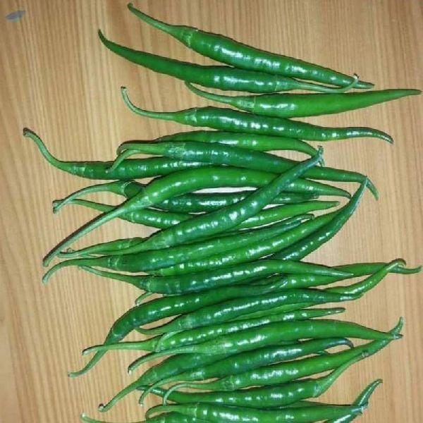 Fresh Green Chili