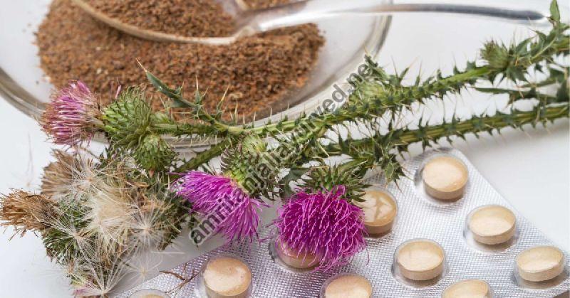 Milk Thistle Seeds, Part of Plant:Seed