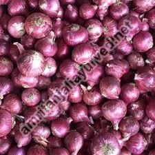 Red Nashik Onion, Type : Fresh