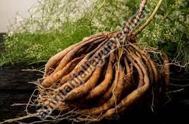 Organic Shatavari Roots