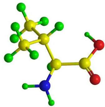 Branched Chain Amino Acid