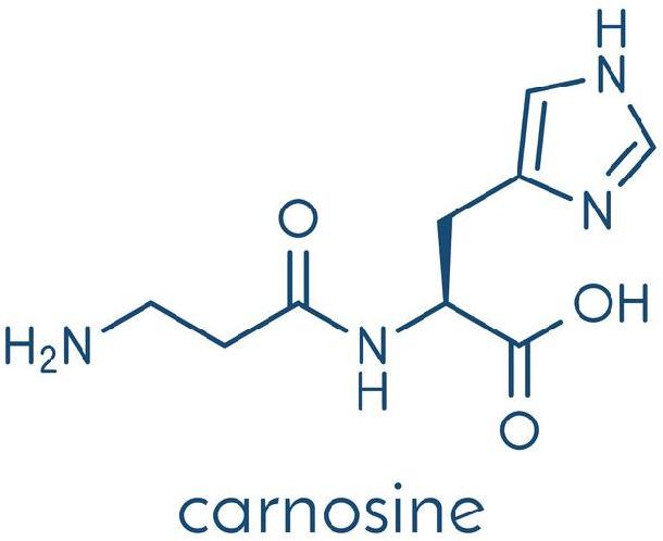 Carnosine
