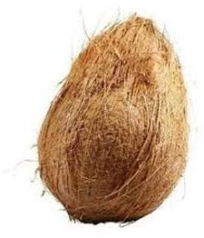 semi husked coconut