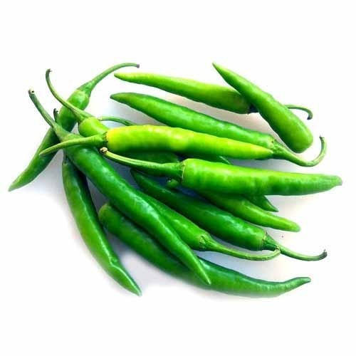 Natural Fresh Green Chilli, for Human Consumption, Packaging Type : Jute Bag