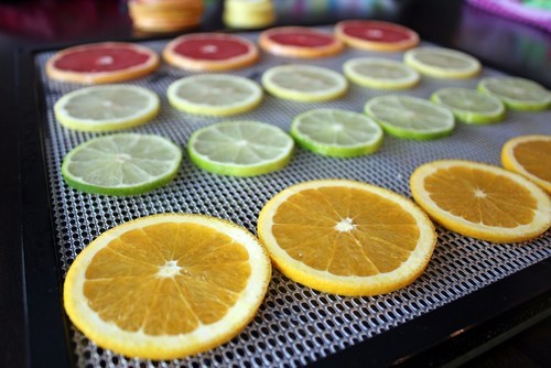 Dehydrated Lemon Slices