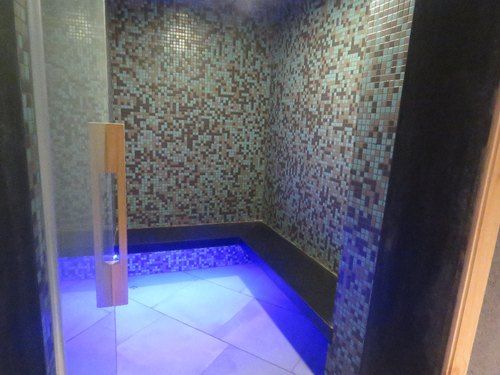 STEAM BATH GENERATOR