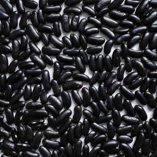 Black Kidney Beans