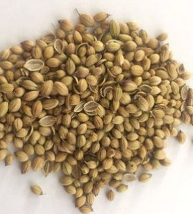 coriander seeds