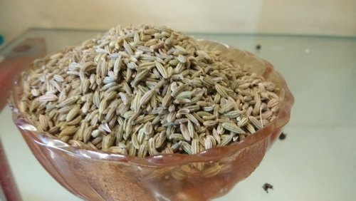 Natural Fennel Seeds, Grade Standard : Food Grade