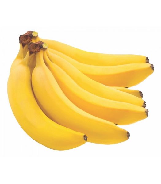 Organic fresh banana, Feature : Healthy, Nutritious