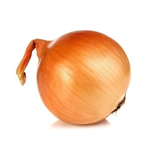 Natural Fresh Yellow Onion, Packaging Type : Jute Sacks