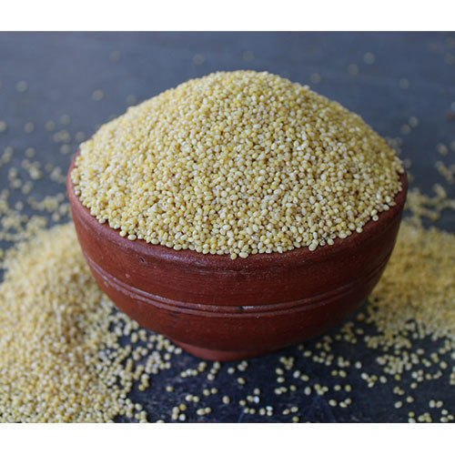 Natural Kodo Millet Seeds, for Cattle Feed, Cooking, Variety : Hybrid