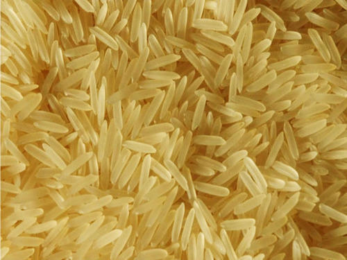 Organic Sharbati Golden Sella Rice, Shelf Life : 1year