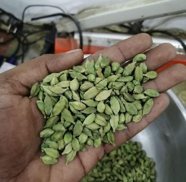 Raw Natural Unpolished Green Cardamom, for Spices, Grade Standard : Food Grade