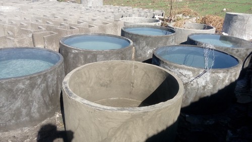 Concrete Cement Water Tank, Shape : Round