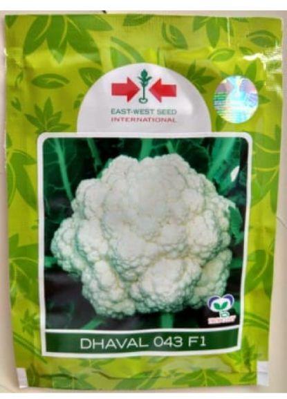 Raw Natural DHAVAL CAULIFLOWER, for Seedlings, Certification : Fhyto