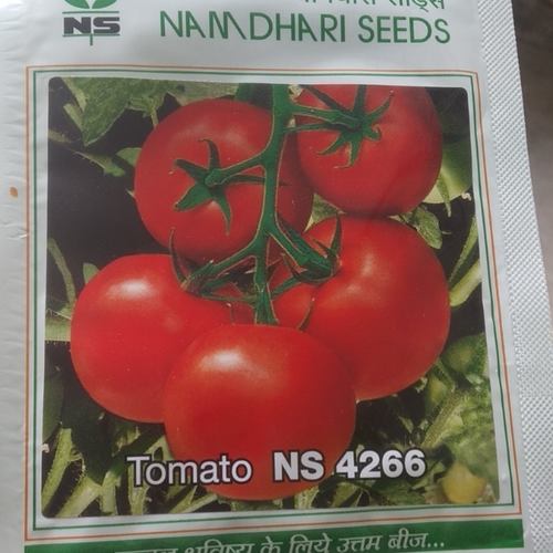 NAMDHRI4266 TAMATO, Type : SEED - IMPERIAL NURSERY, Gorakhpur, Uttar ...