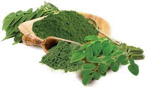  Natural moringa leaves powder, for Dietary Supplement, Style : Dried