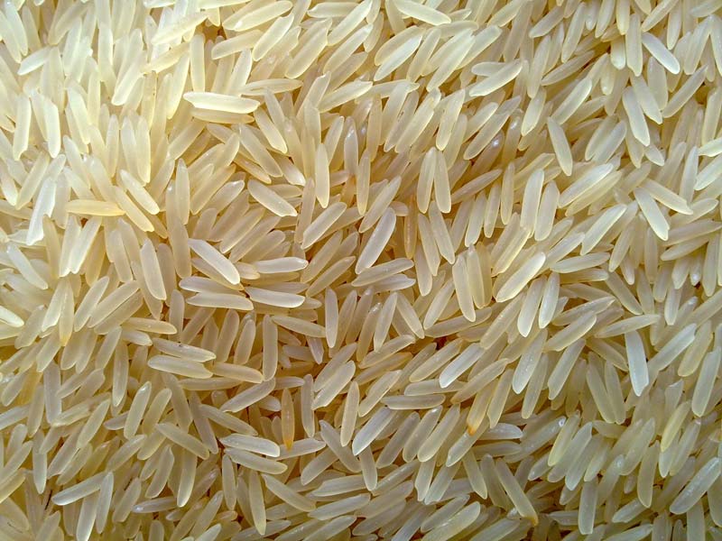 Golden Non Basmati Rice