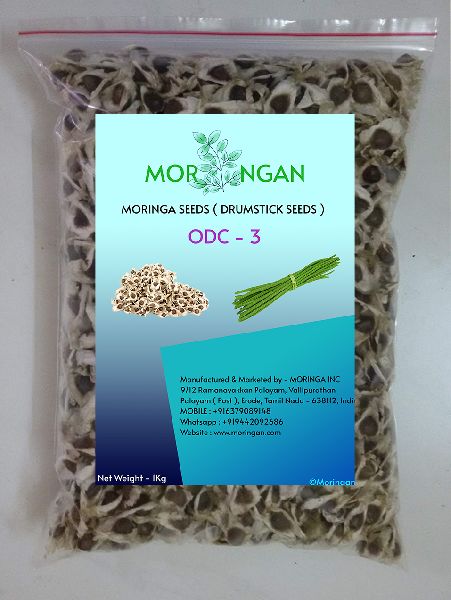 Natural Raw Moringa seeds ODC 3, for Human Consumption, Seedlings, Pharmaceutical, Food Industry