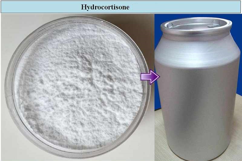 Hydrocortisone Acetate, Purity : 99%