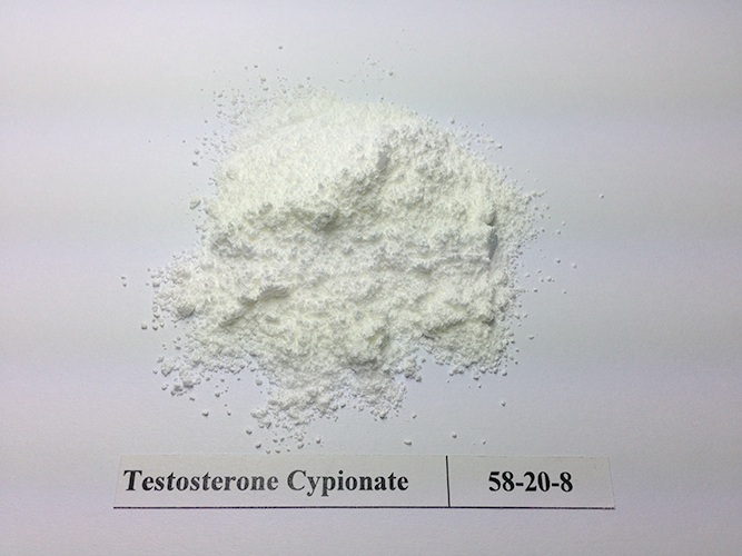 Testosterone Cypionate, Form : Powder