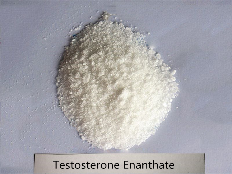 Testosterone Propionate, Color : White