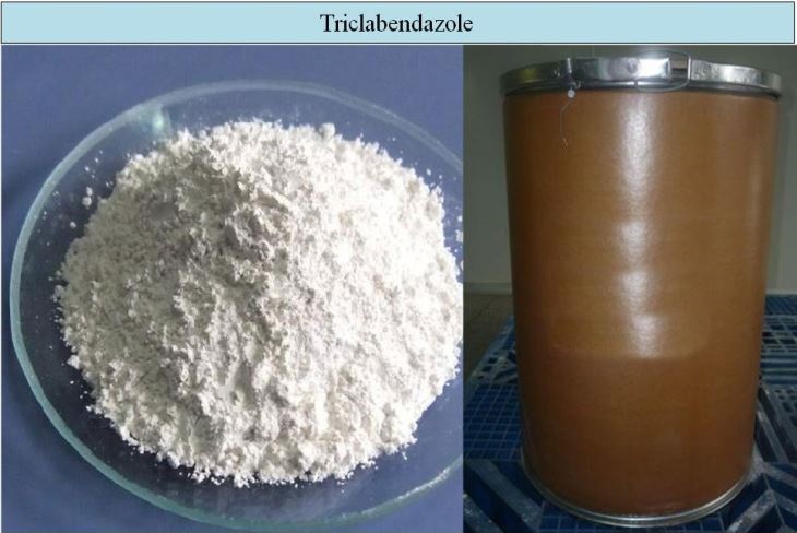 Triclabendazole, Form : Powder