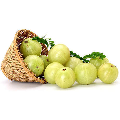 Organic Fresh Amla, Packaging Size : 5-20kg