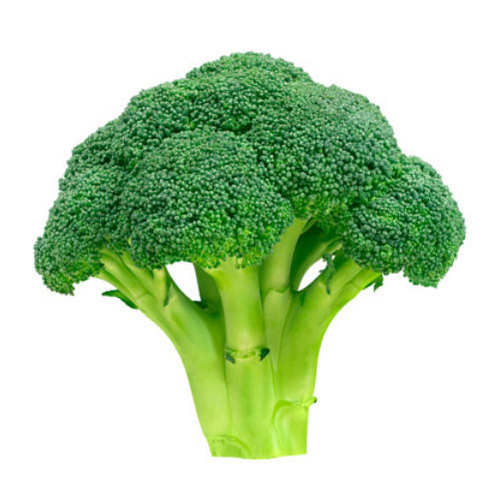 Fresh broccoli, Packaging Size : 10kg, 20kg