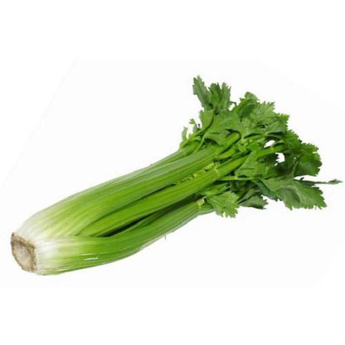 Fresh Celery, Packaging Type : Gunny Bag, Jute Bag