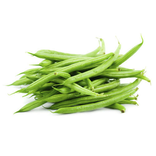 Organic Fresh Green Beans, Packaging Type : Vacuum Packed